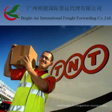 Transport de logistique globale Expédition de livraison en ligne DHL / UPS / TNT Courier Express de Chine vers le monde entier